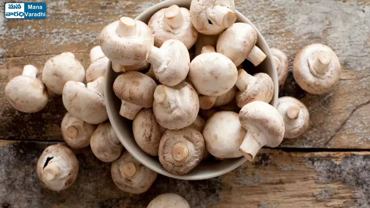 Health Benefits of Mushrooms