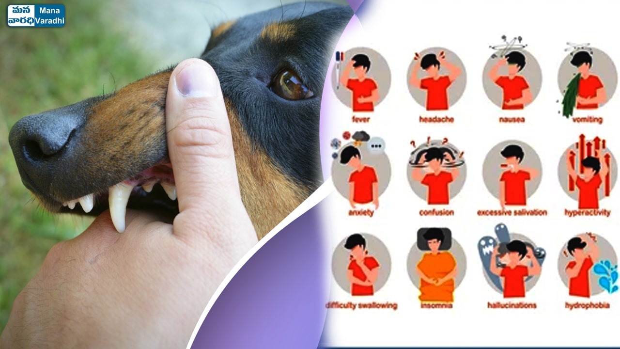 Rabies - Symptoms & causes