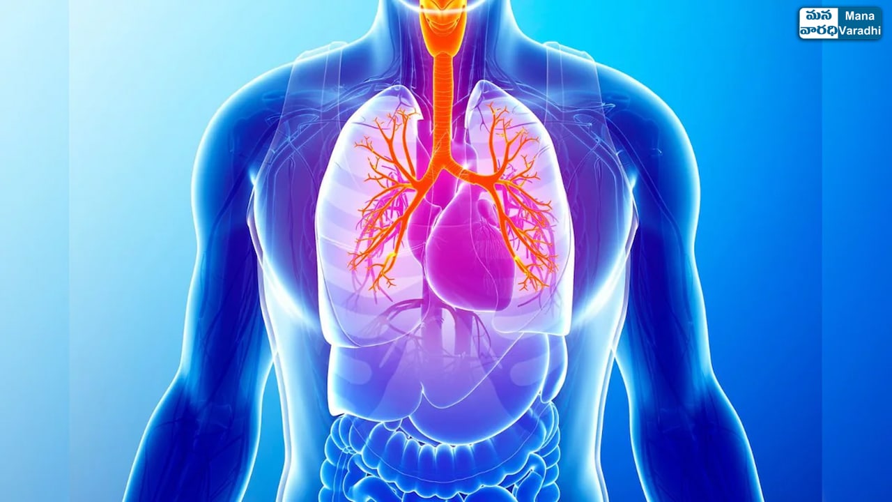 COPD - Symptoms and causes