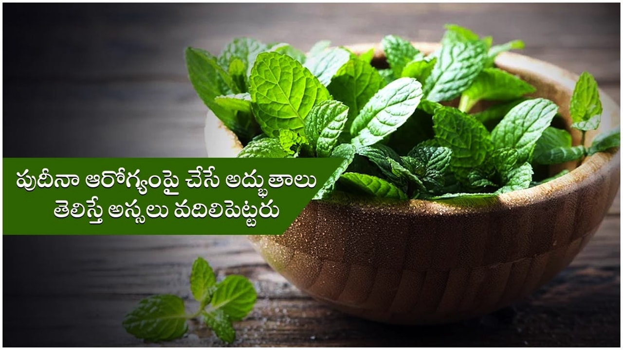 Mint health benefits