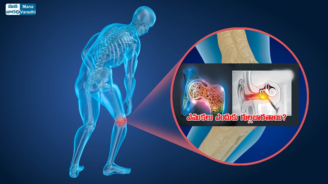 Osteoporosis and Bone fractures