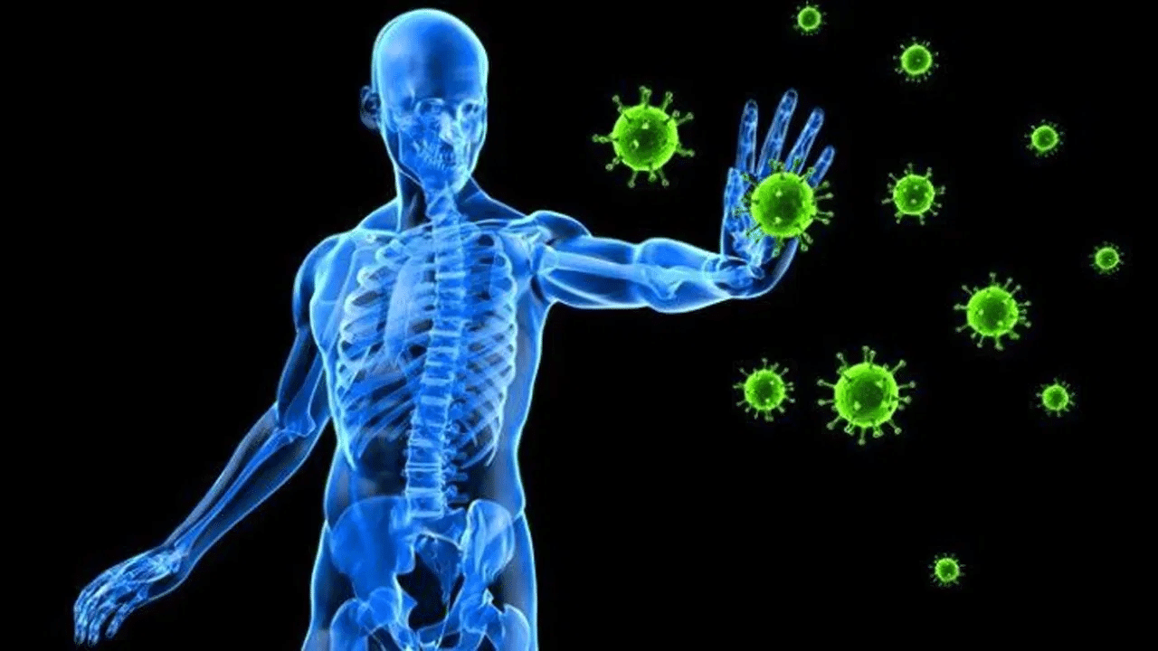 Keep Your Immune System Healthy