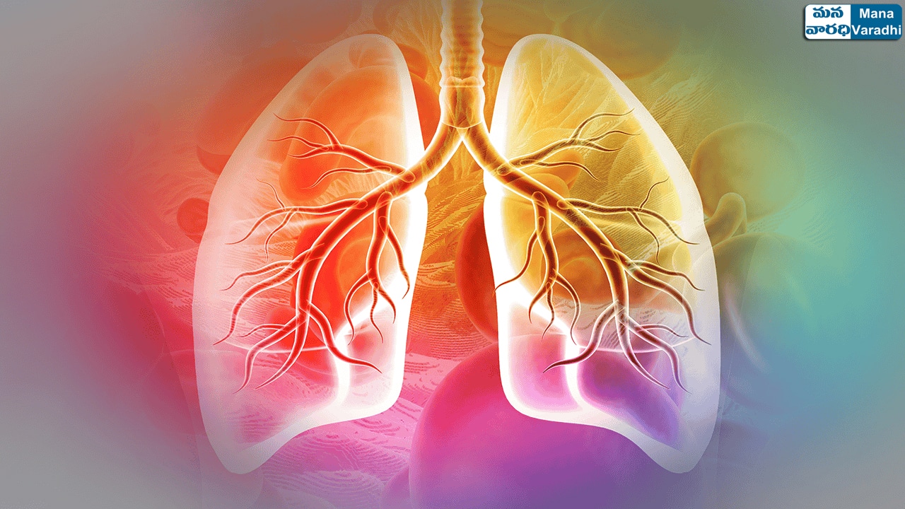 Pulmonary Angiogram