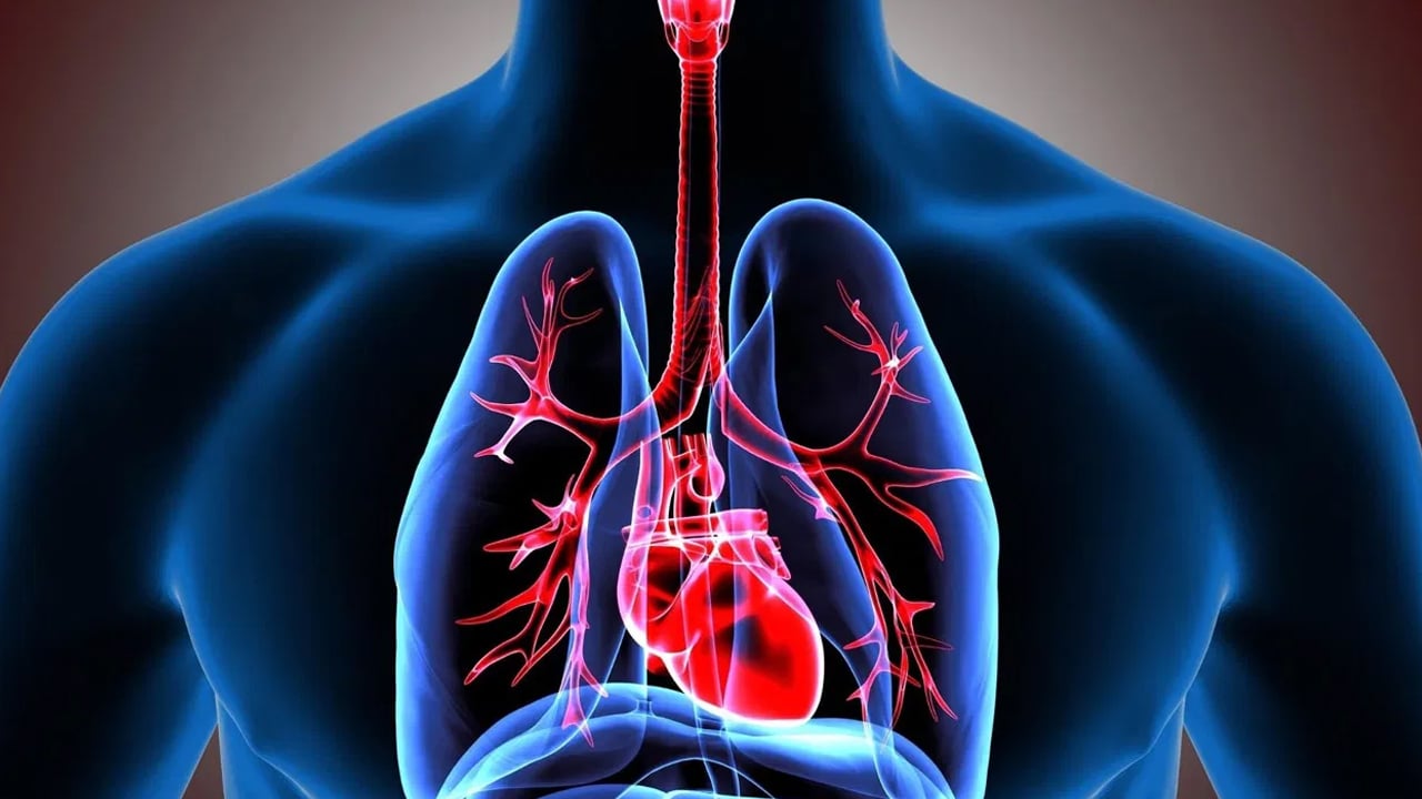 Lung health