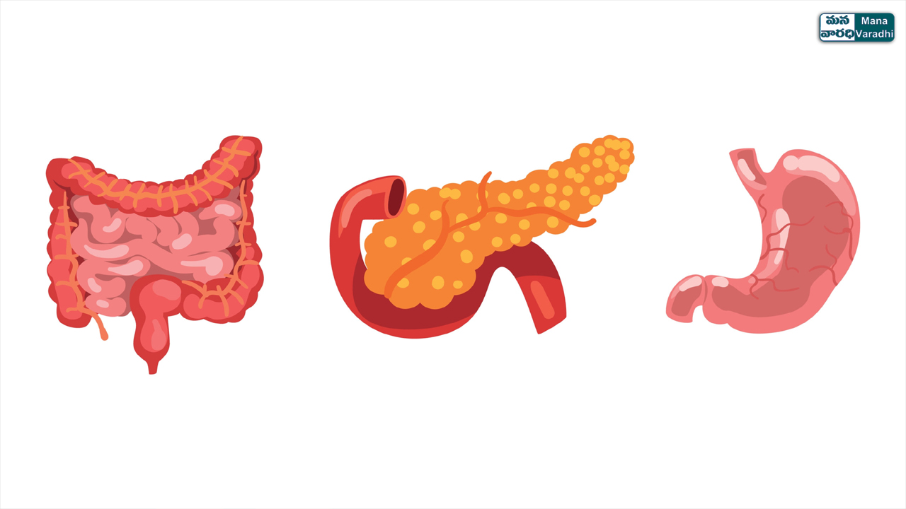 Multiple endocrine neoplasia