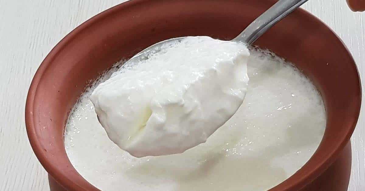 Health Benefits Of Curd