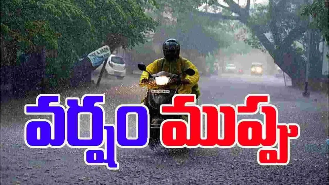Heavy Rains