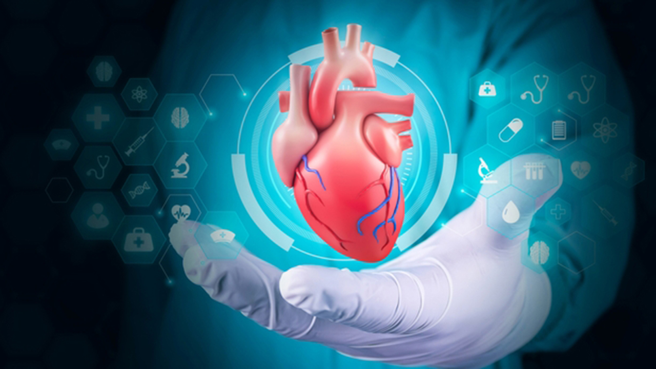 Heart Disease Affects Your Body