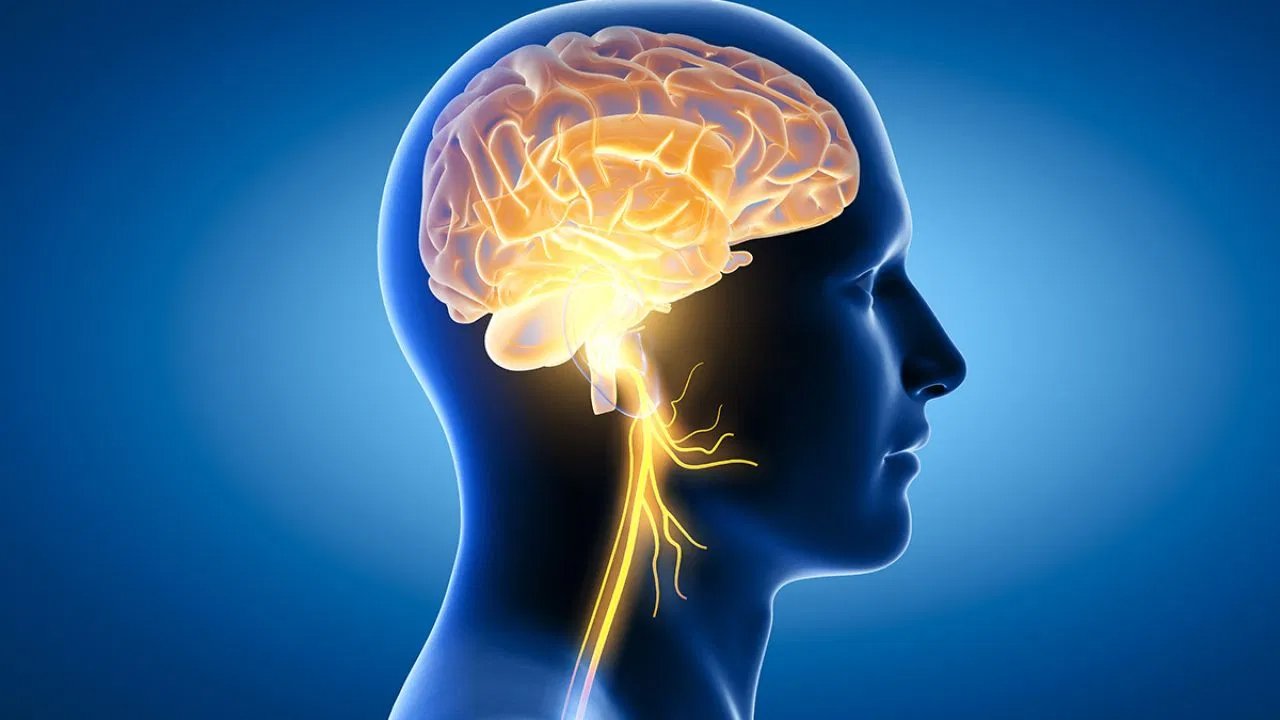 Dementia Risk